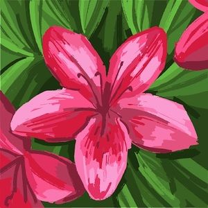 Meet your Posher, Molly lowe